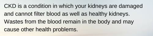 Chronic Kidney Disease (CKD) is a condition in which your kidneys are damaged and cannot filter blood as well as healthy kidneys. Because of this, wastes from the blood remain in the body and may cause other health problems.