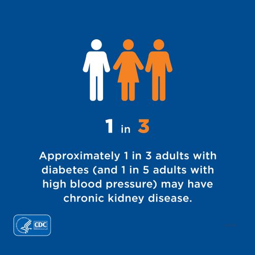 One in three adults with diabetes (and one in five adults with high blood pressure) may have chronic kidney disease