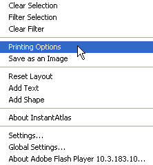 Screenshot of Print Options menu