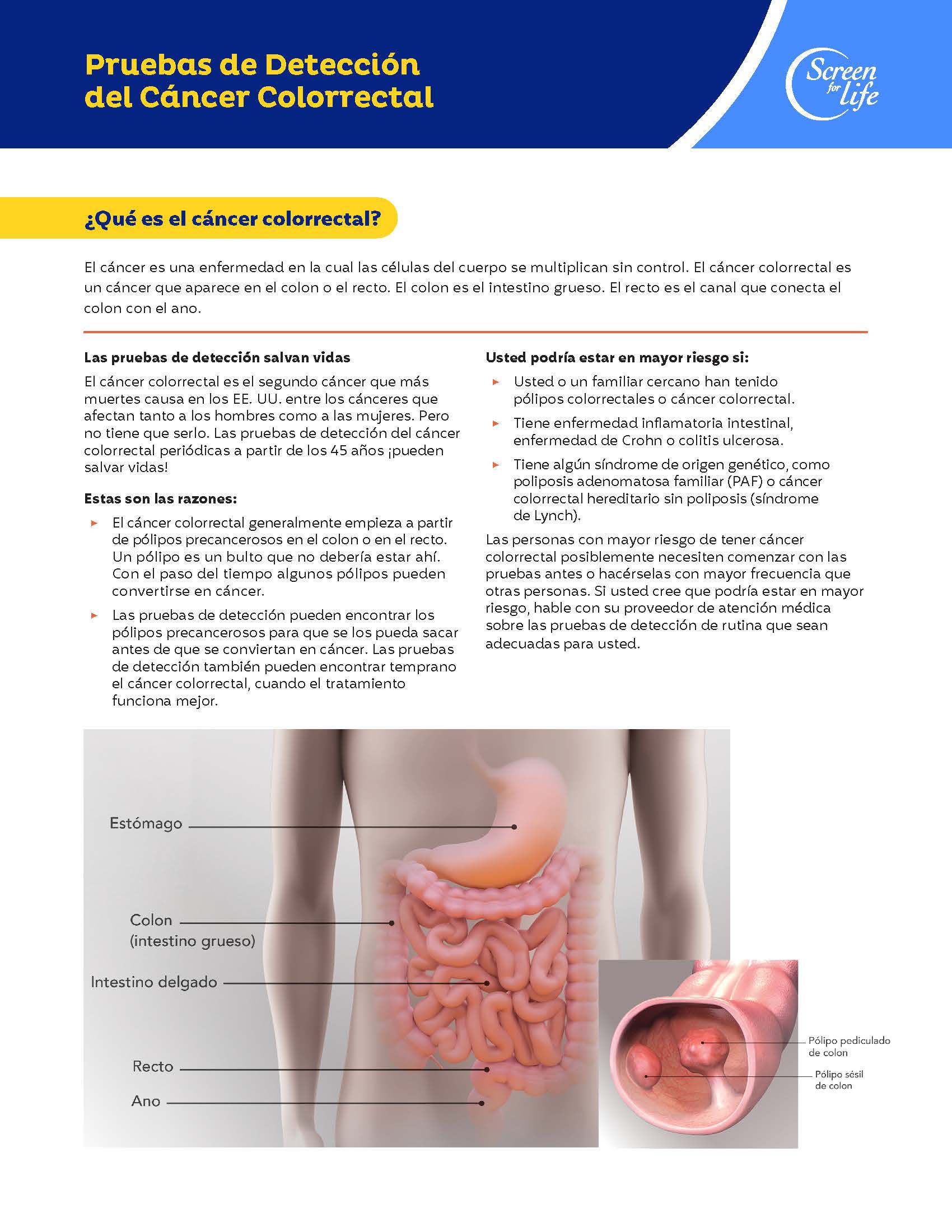 More Details about CDC Screen for Life: Colorectal Cancer Screening Fact Sheet_ Spanish