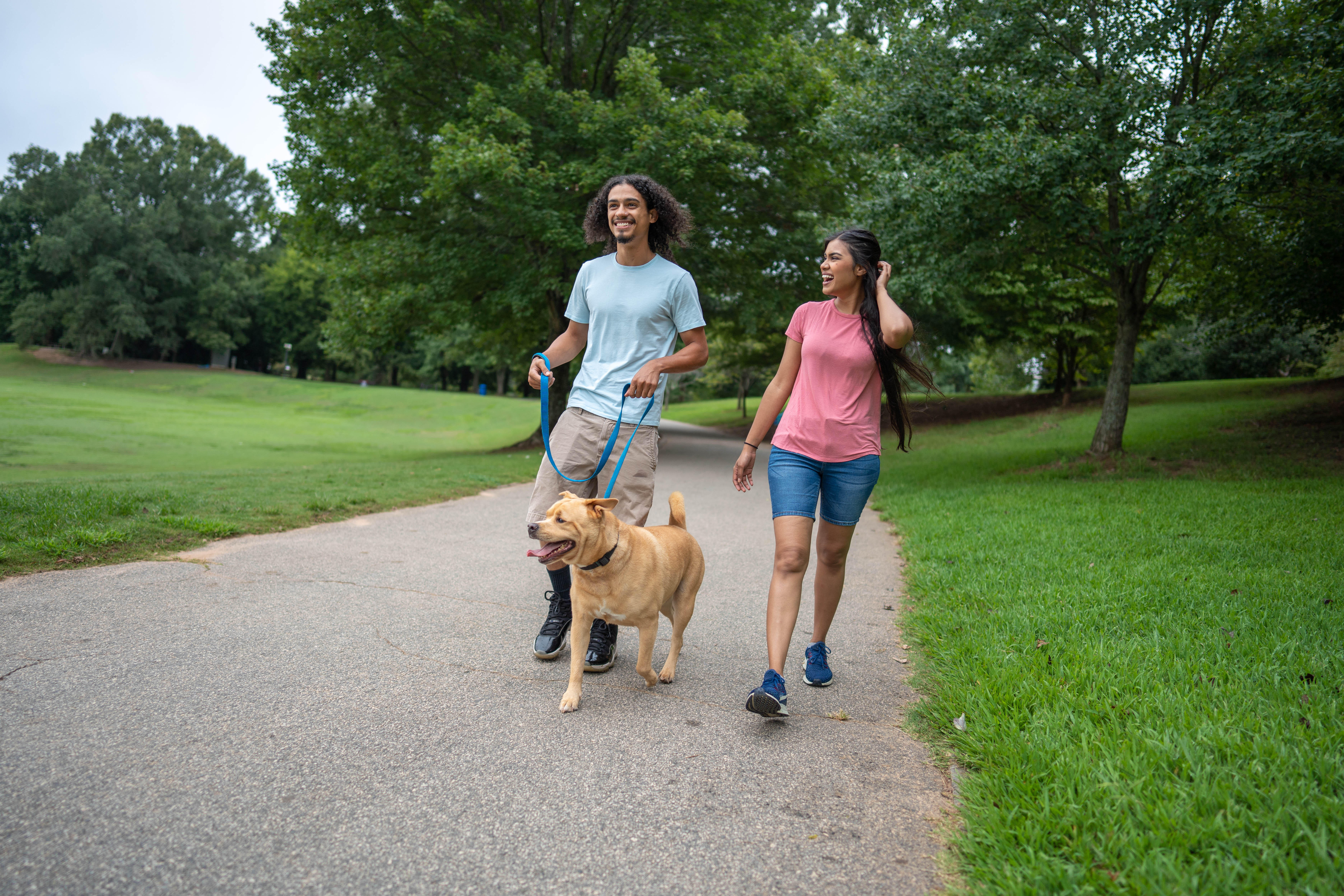 More Details about Couple Walking with Dog