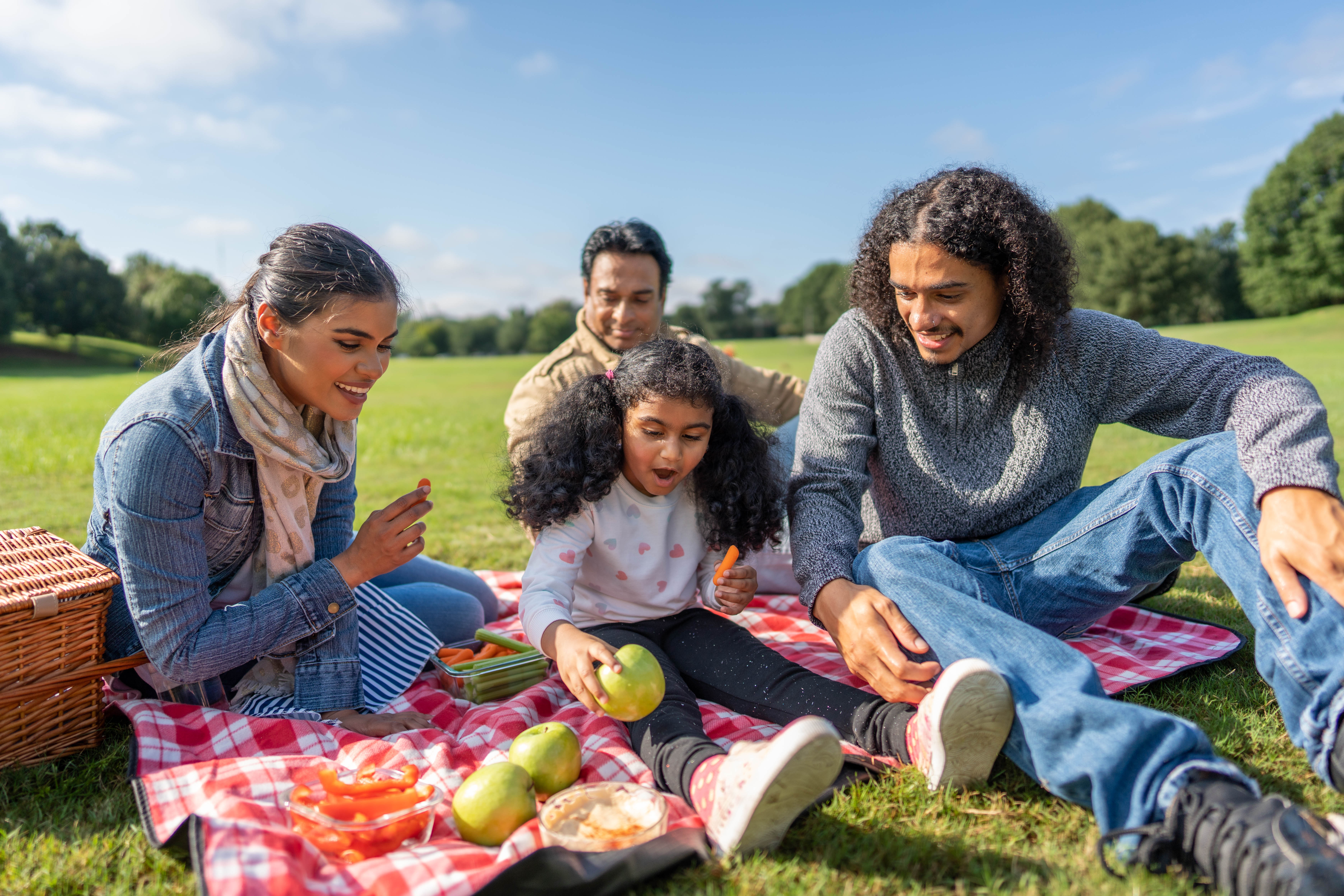 More Details about Family Picnic at Park - 3