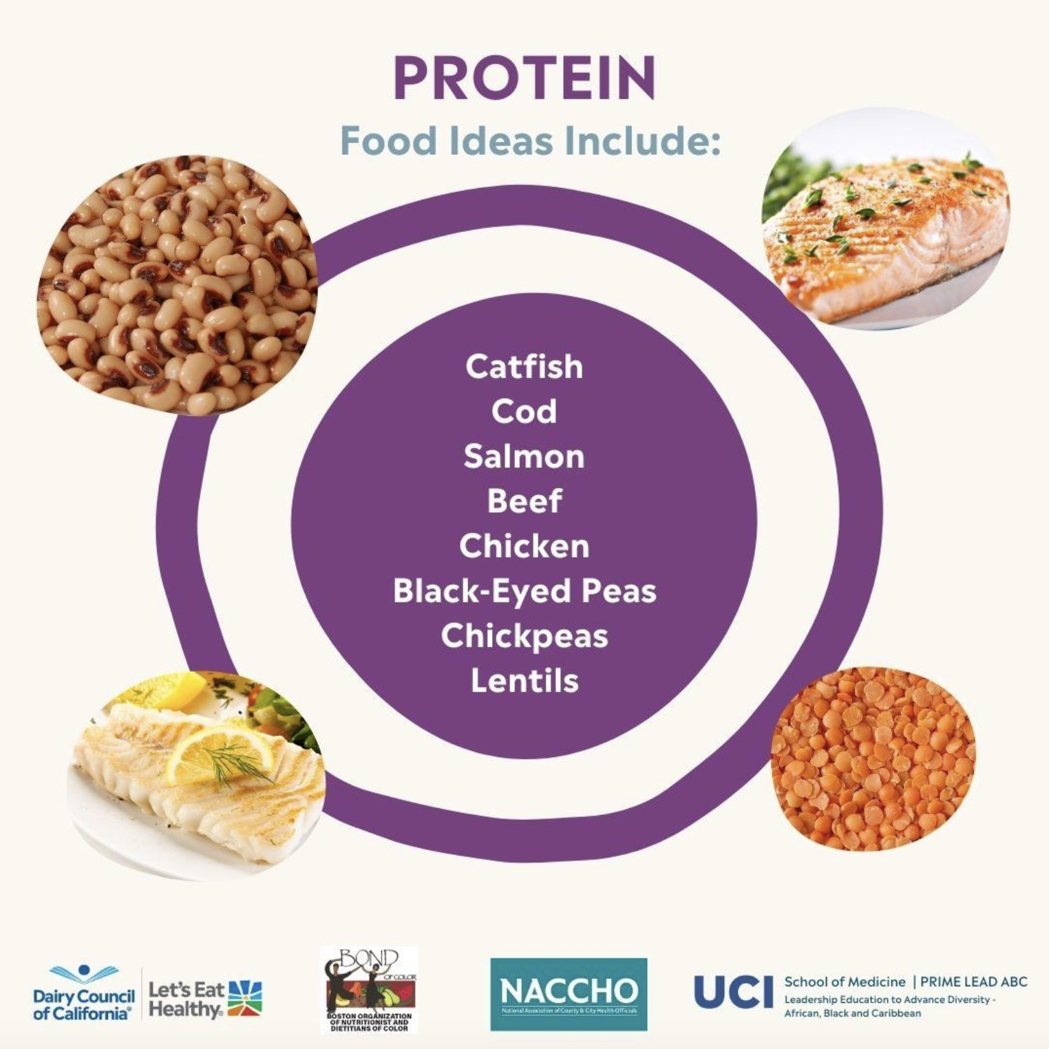 More Details about Culturally Diverse Materials for Infants and Toddlers: Protein_Caribbean